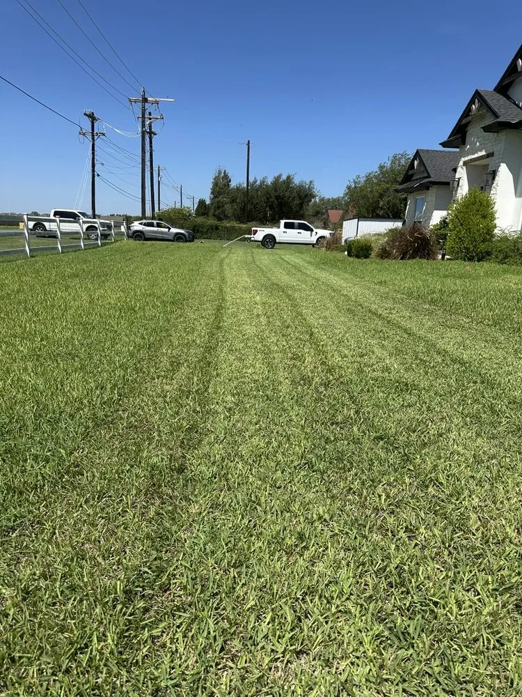Custom residential landscaping for residential properties across Hidalgo, TX - JP Lawn & Junk Services
