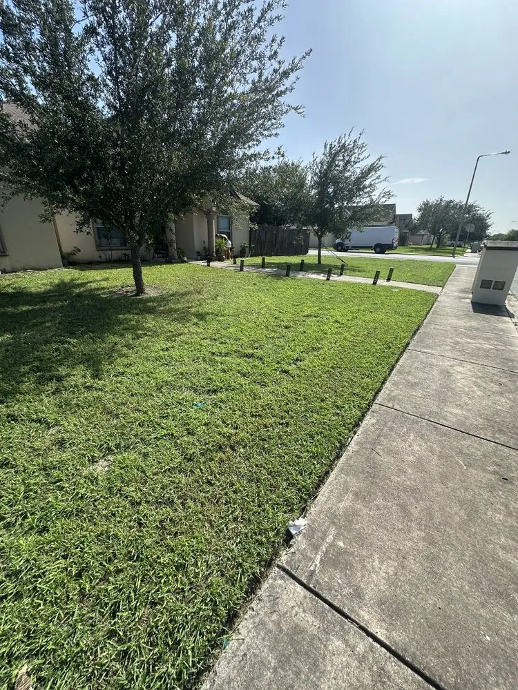 Top-rated lawn care service for outdoor upgrades in Hidalgo, TX by JP Lawn & Junk Services