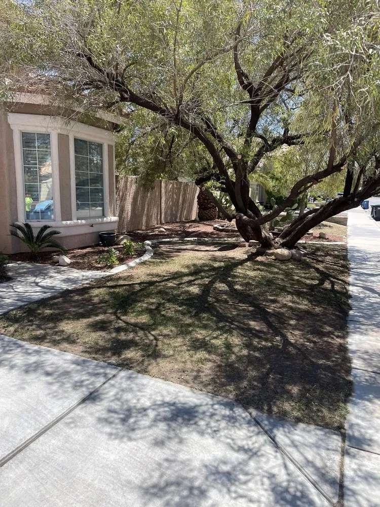 Local lawn care service near you across Las Vegas, NV - JP Lawn and Garden Services