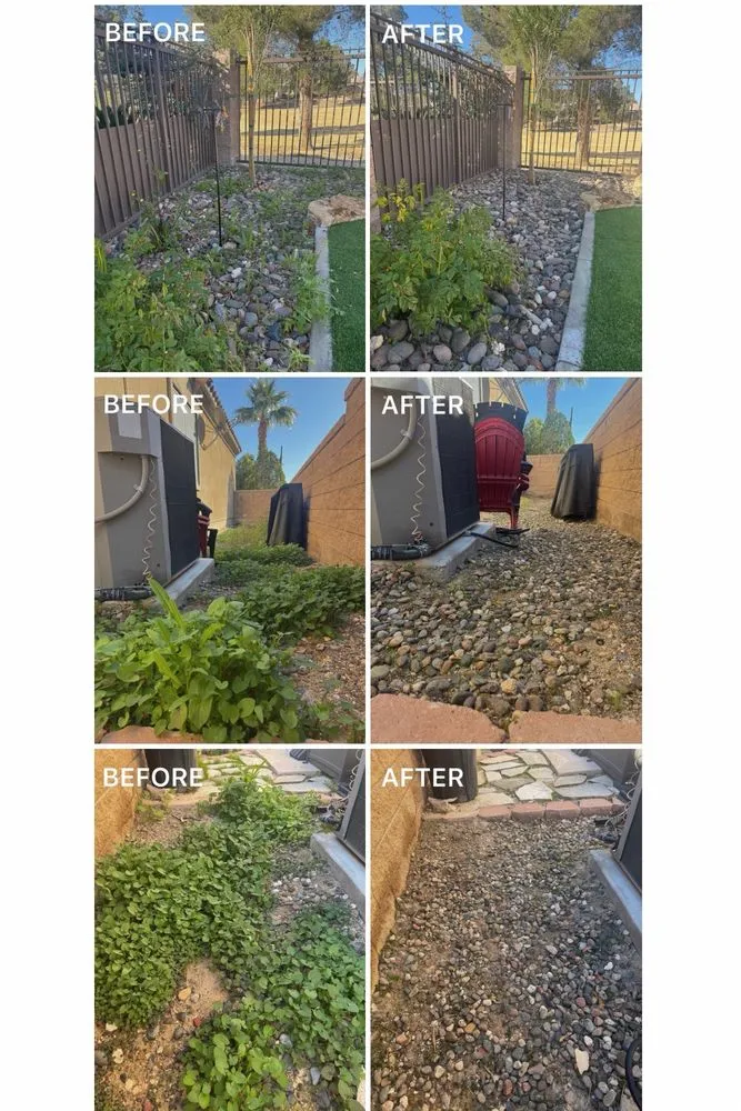 Top-rated lawn care service for homes across Las Vegas, NV - JP Lawn and Garden Services