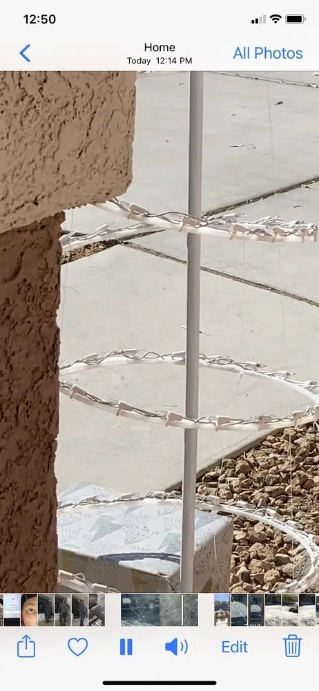 Top-rated landscape design in Las Vegas, NV by JP Lawn and Garden Services