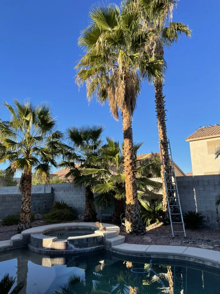 Affordable lawn care service in Las Vegas, NV - JP Lawn and Garden Services