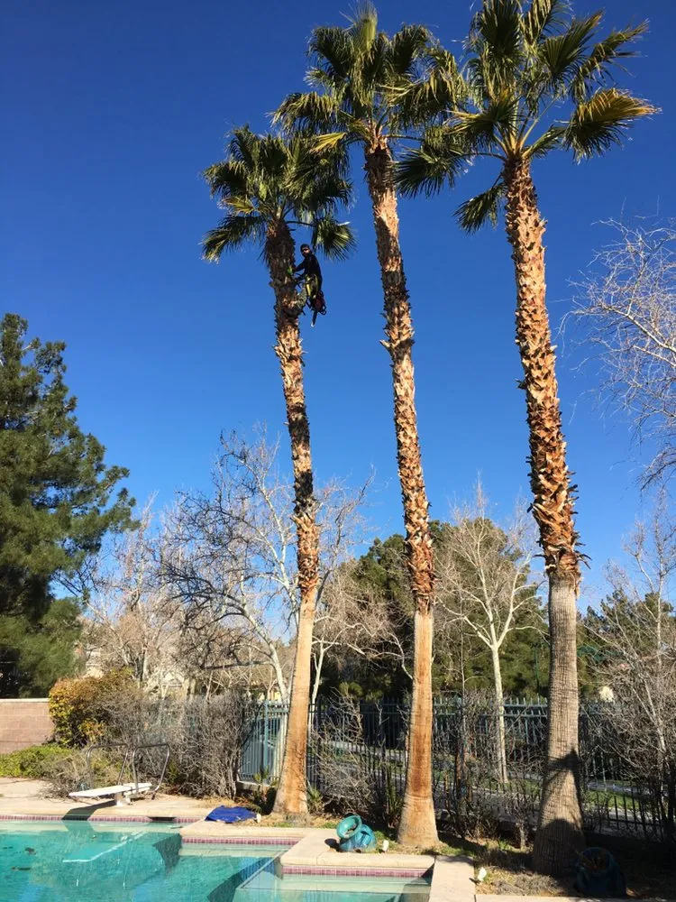 Affordable garden landscaping in Las Vegas, NV by JP Lawn and Garden Services