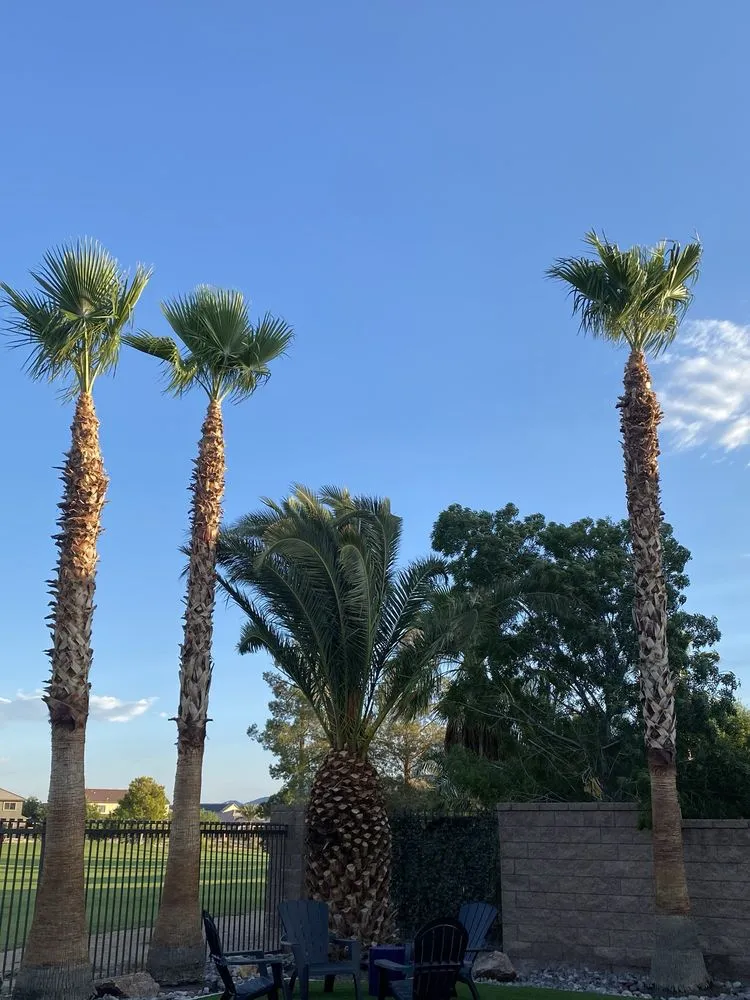 Professional lawn care service in Las Vegas, NV - JP Lawn and Garden Services