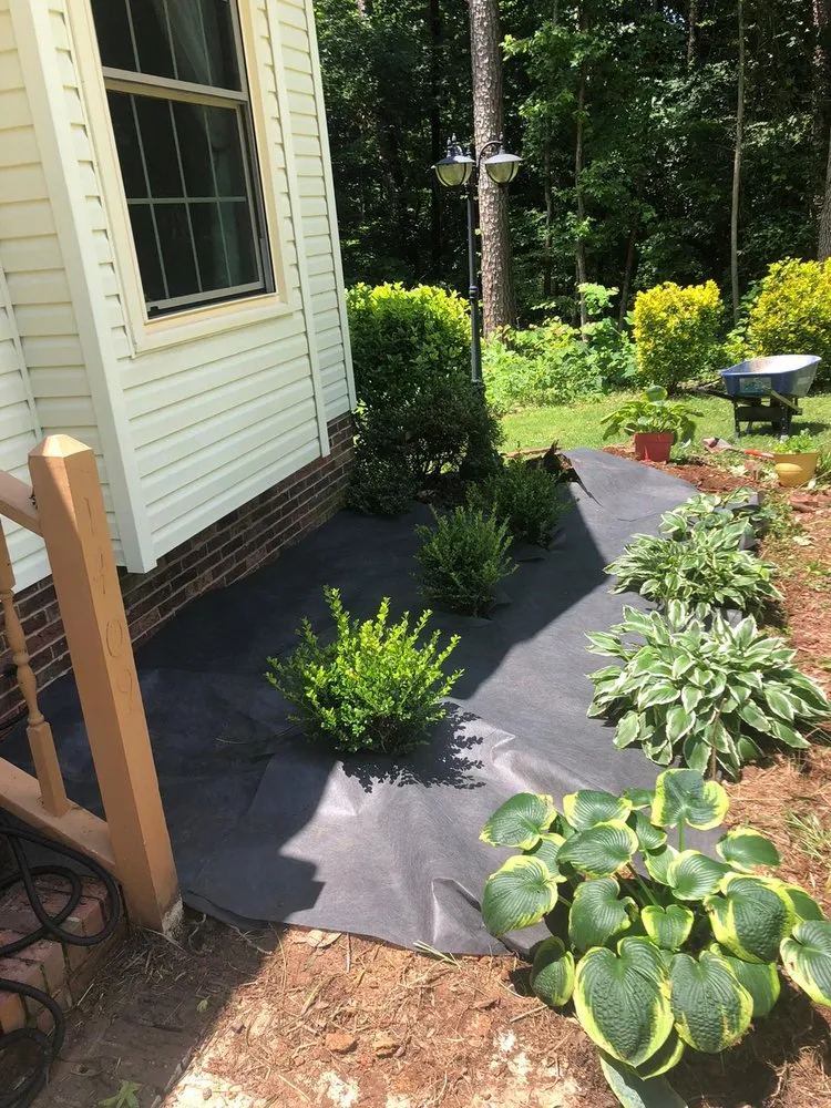 Professional lawn care service for residential properties in Kannapolis, NC by JP Lawn and Landscaping