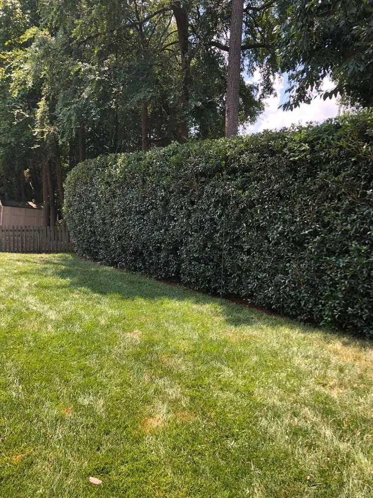 Expert garden landscaping in Kannapolis, NC by JP Lawn and Landscaping