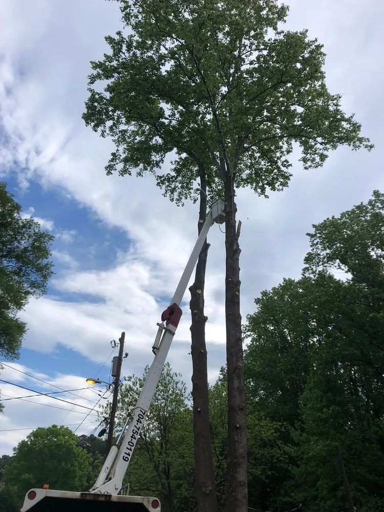 Expert landscape design experts serving Kannapolis, NC - JP Lawn and Landscaping