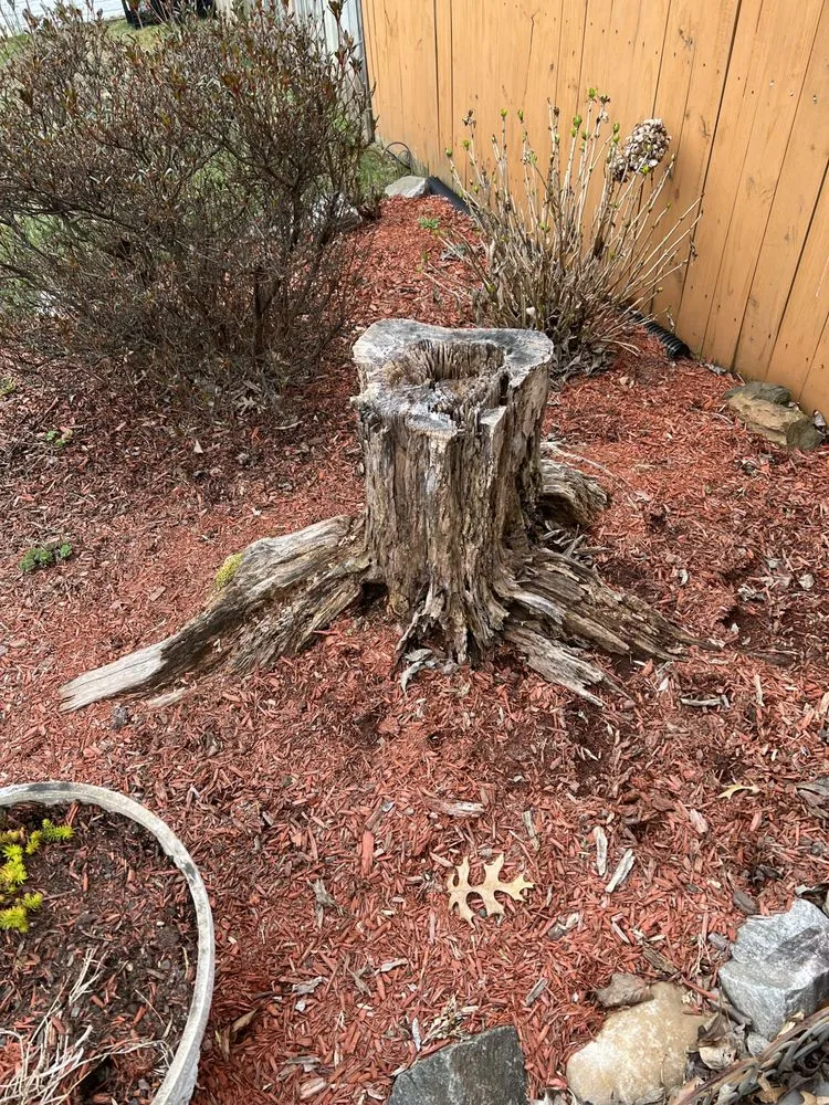 Reliable landscape installation experts serving Stafford, VA - JP Lawn Care & Home Services