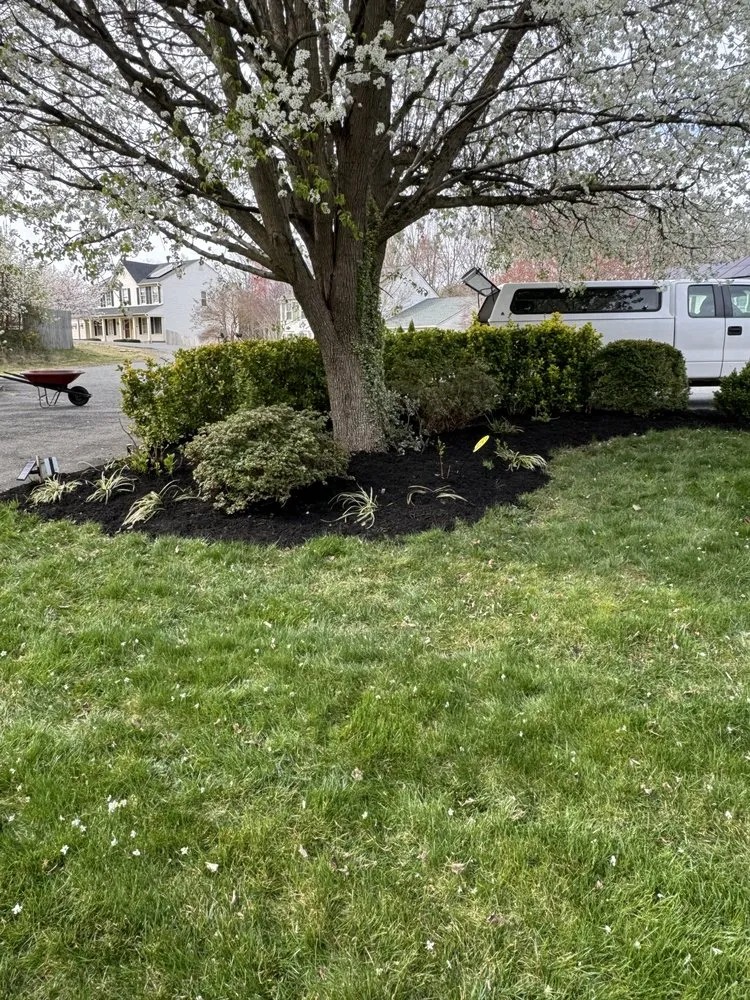 Top-rated residential landscaping in Stafford, VA by JP Lawn Care & Home Services