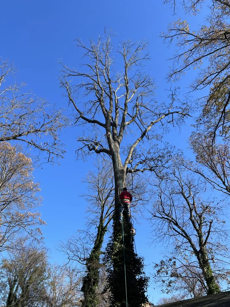 Affordable landscape design in Stafford, VA by JP Lawn Care & Home Services