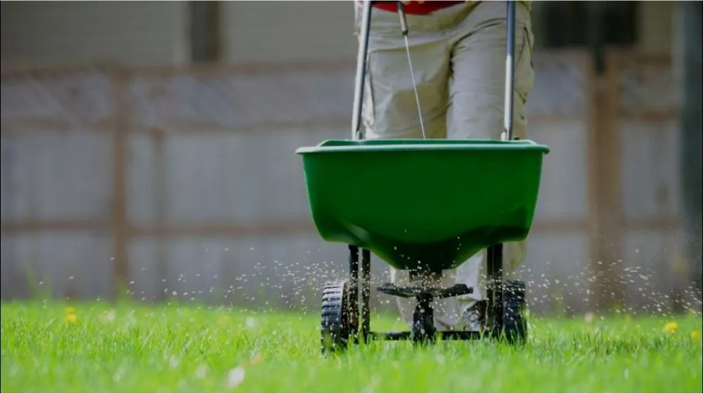 Expert yard maintenance near you across Bronx, NY - Jp Lawn Care & Painting