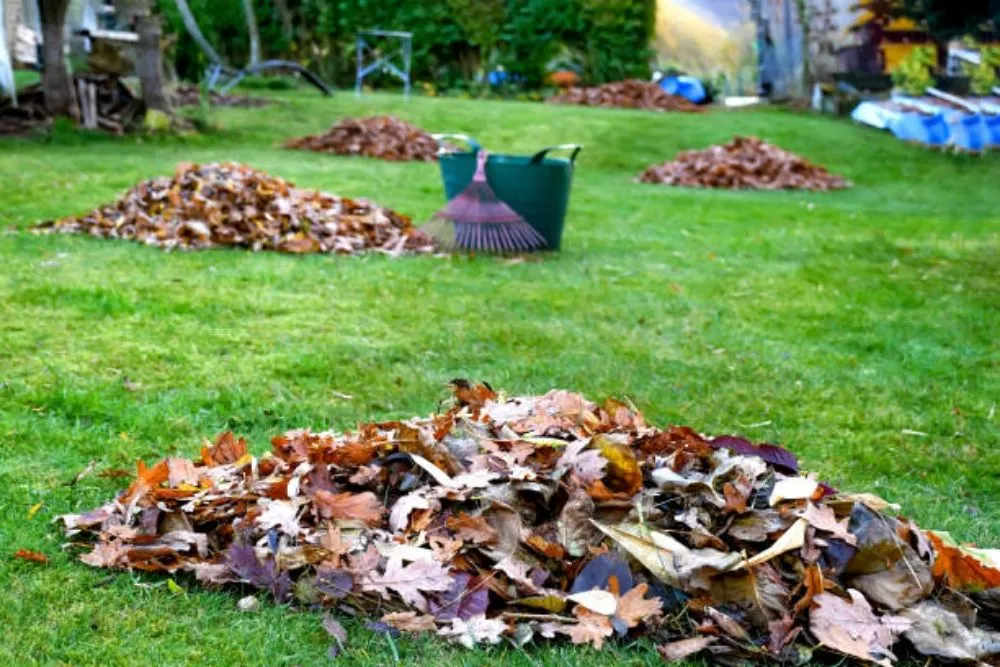 Expert garden landscaping with custom design across Bronx, NY - Jp Lawn Care & Painting