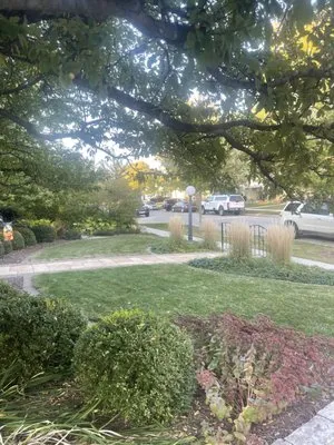 JP Lawn Care and Landscaping