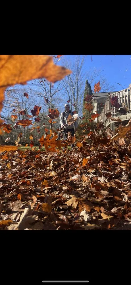 Affordable yard maintenance experts serving Auburn, ME - JP Lawn Care