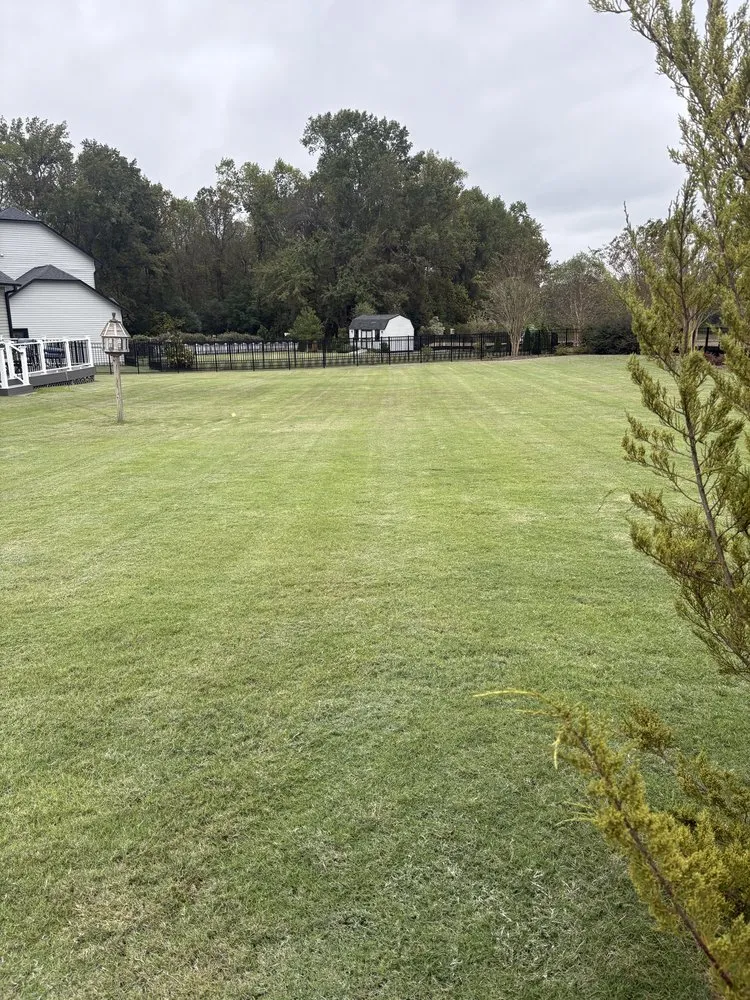 Professional lawn care service near you across Dunn, NC - JP Lawn Care