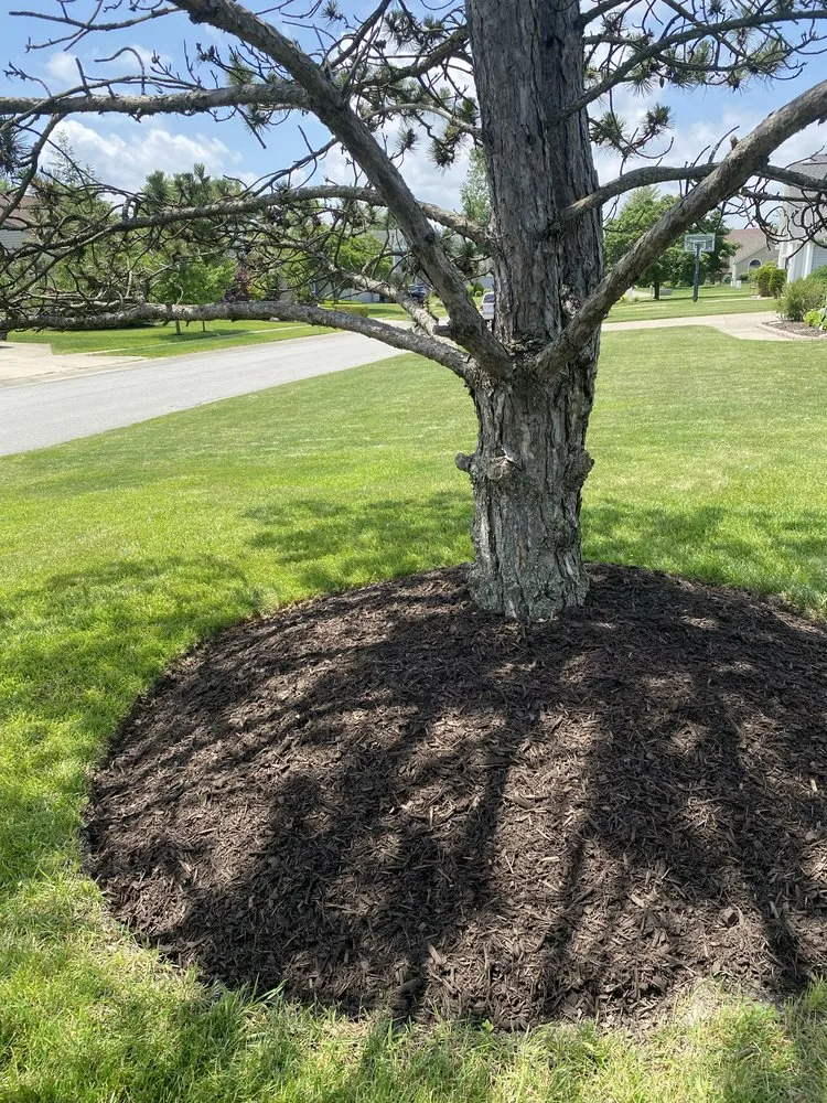 Affordable lawn care service experts serving Fort Wayne, IN - JP Lawn Care