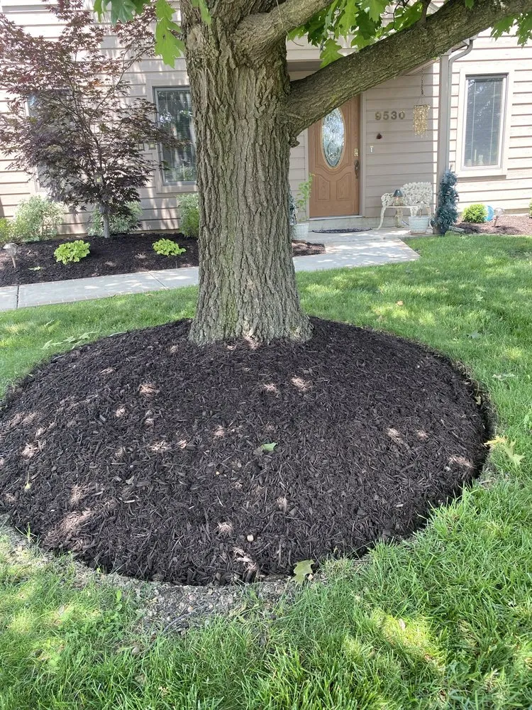 Top-rated landscape installation for beautiful yards across Fort Wayne, IN - JP Lawn Care