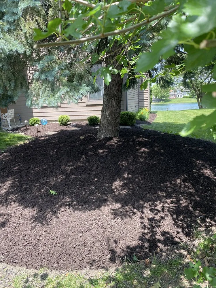 Custom lawn mowing service in Fort Wayne, IN - JP Lawn Care