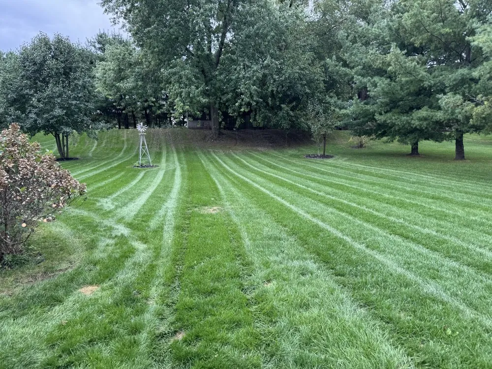 Expert yard cleanup service for year-round maintenance across Granger, IN - JP Lawn Care
