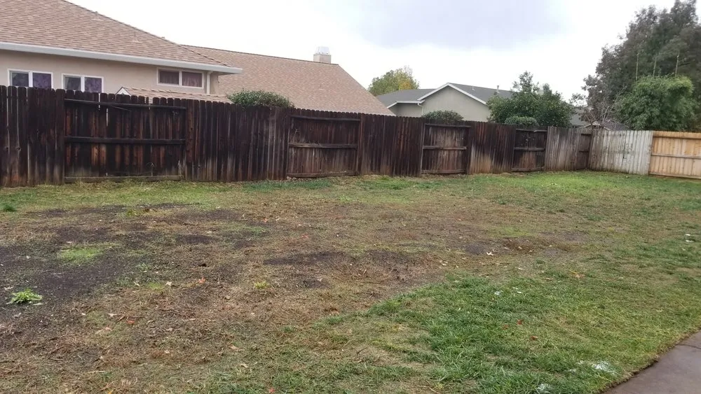 Custom yard cleanup service experts serving Redding, CA - JP Lawn Care Maintenance Services