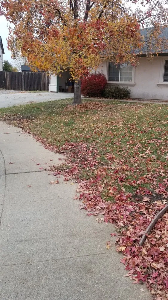 Local landscape installation in Redding, CA by JP Lawn Care Maintenance Services