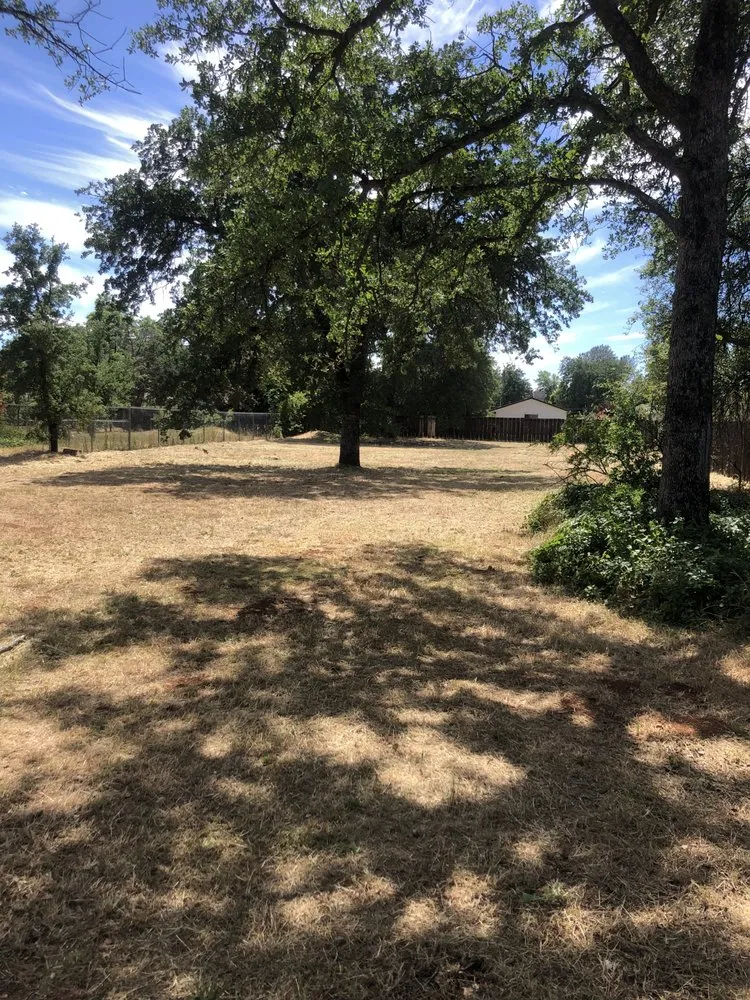 Reliable lawn care service for residential properties across Redding, CA - JP Lawn Care Maintenance Services