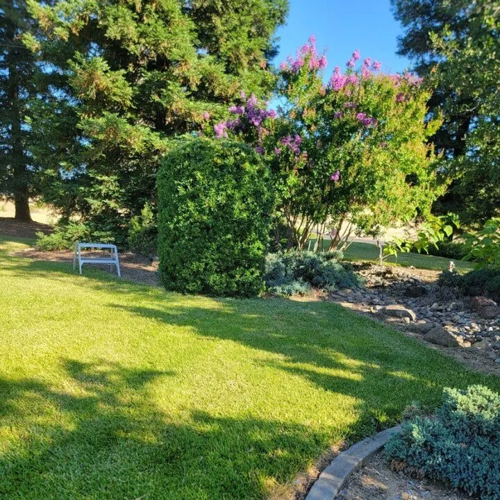 Expert landscape design in Redding, CA by JP Lawn Care Maintenance Services