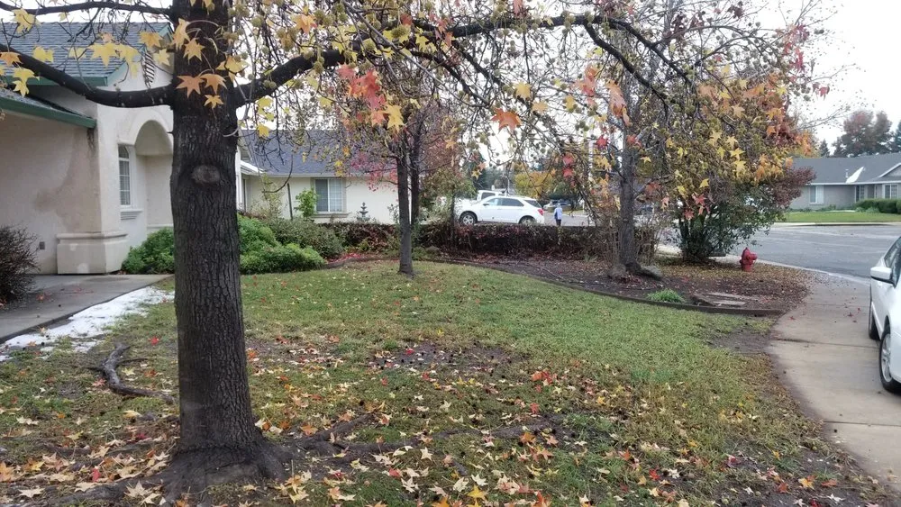 Expert garden landscaping in Redding, CA by JP Lawn Care Maintenance Services