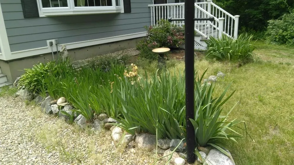 Professional landscape installation in Rowley, MA - JP Lawn Care