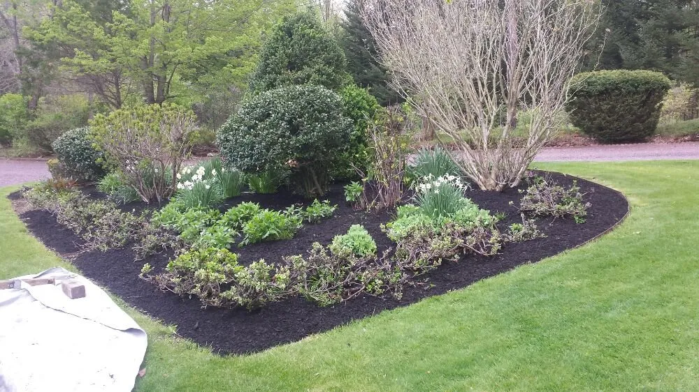 Professional yard cleanup service experts serving Rowley, MA - JP Lawn Care