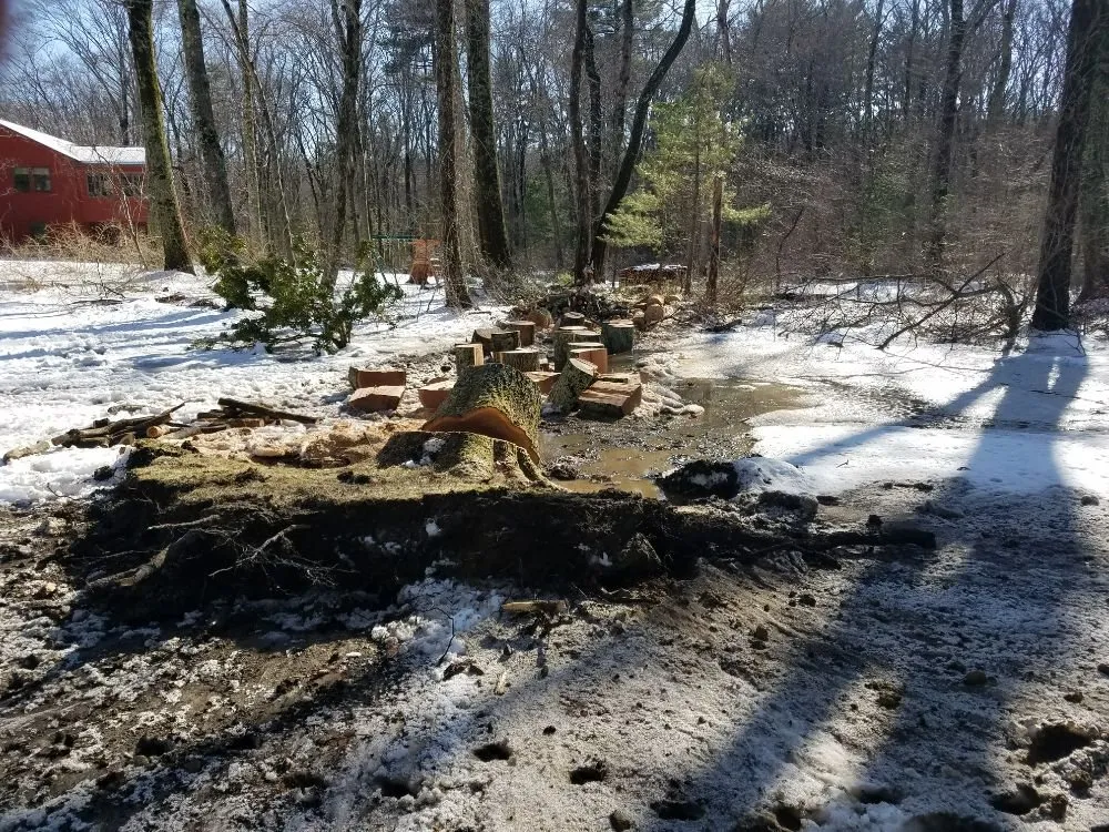 Reliable landscaping services for residential properties across Rowley, MA - JP Lawn Care