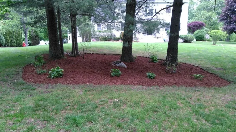 Affordable lawn mowing service experts serving Rowley, MA - JP Lawn Care