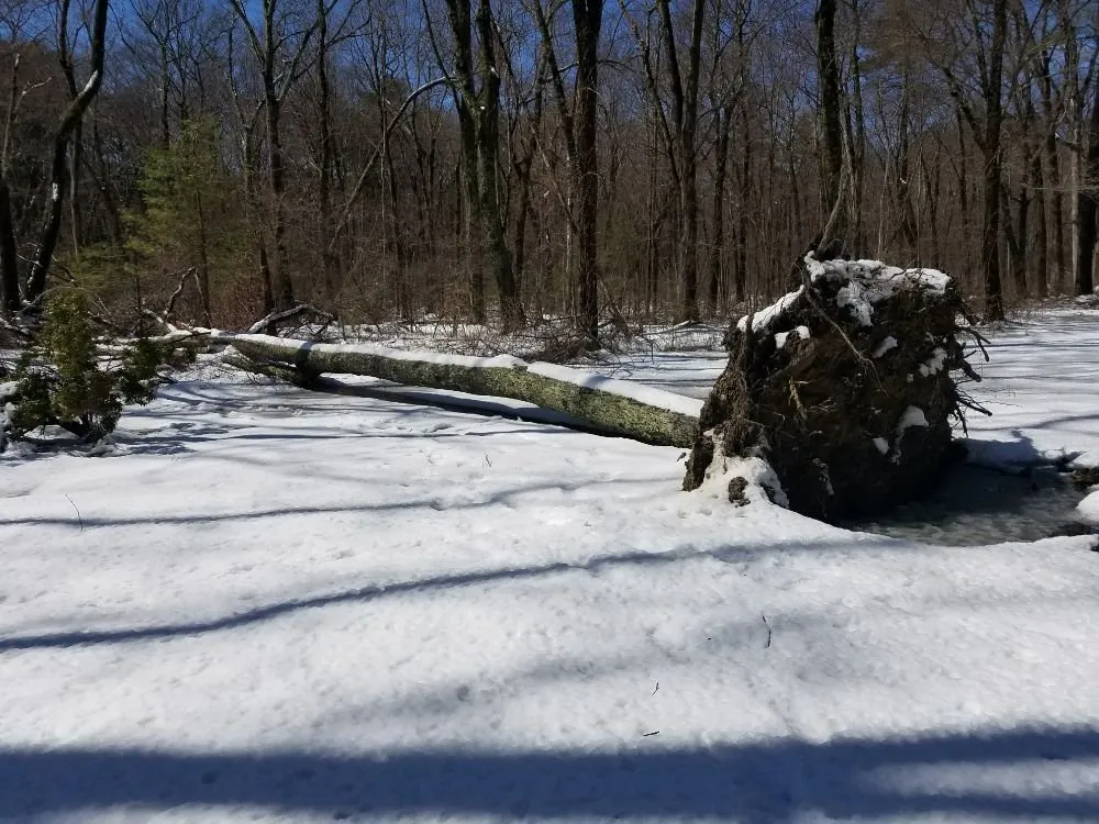 Professional landscape design experts serving Rowley, MA - JP Lawn Care