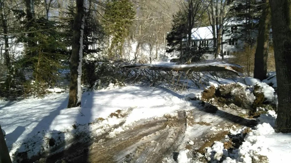 Local lawn care service in Rowley, MA - JP Lawn Care