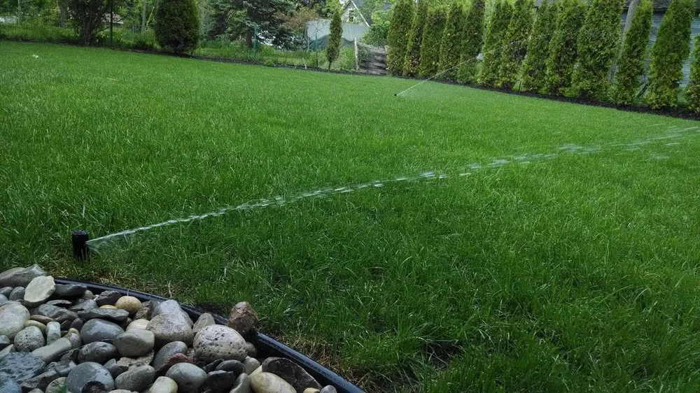 Top-rated lawn mowing service for outdoor upgrades across La Fayette, AL - JP Lawn Care Service