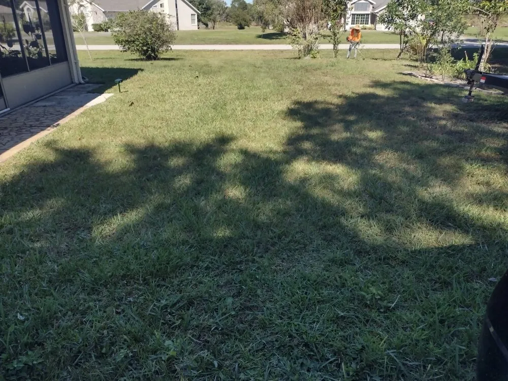 Professional landscaping services for year-round maintenance in Haines City, FL by J&P Lawn Care Services