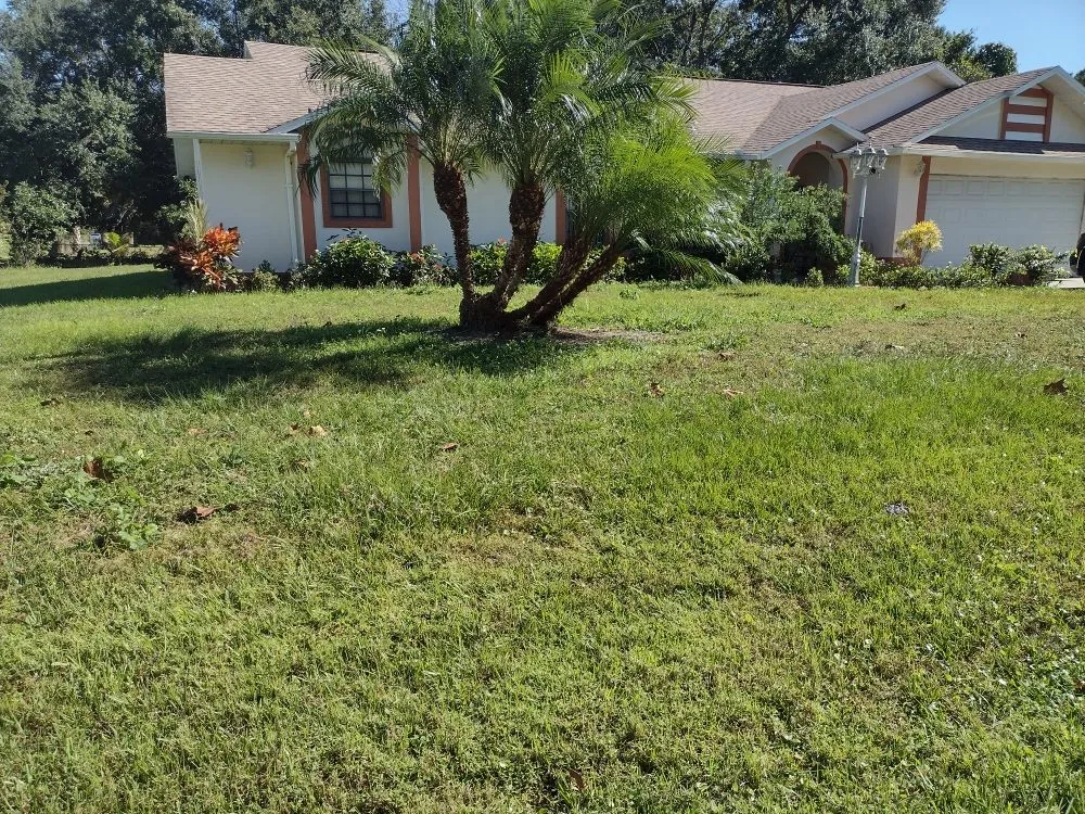 Professional landscaping services for homes in Haines City, FL by J&P Lawn Care Services