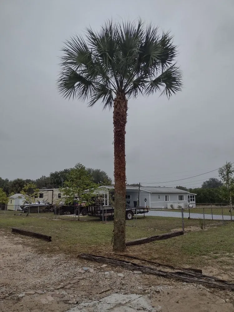 Professional landscaping services for outdoor upgrades across Haines City, FL - J&P Lawn Care Services