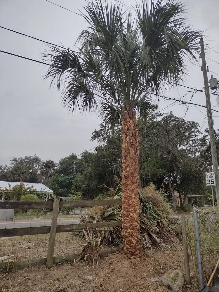 Expert lawn care service experts serving Haines City, FL - J&P Lawn Care Services