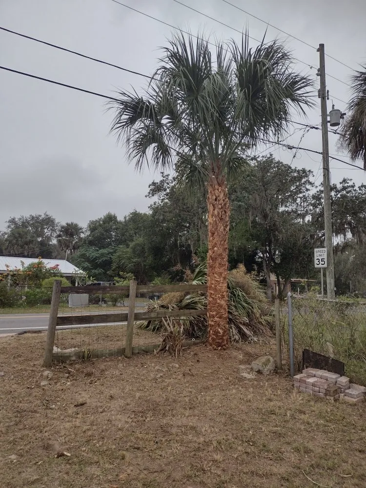 Custom garden landscaping for year-round maintenance across Haines City, FL - J&P Lawn Care Services