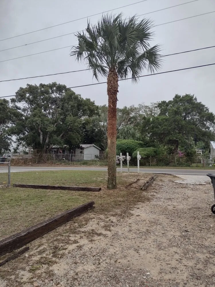 Trusted lawn care service near you across Haines City, FL - J&P Lawn Care Services