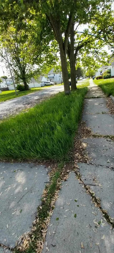 Custom landscaping services for year-round maintenance in Toledo, OH by JP Lawn Care