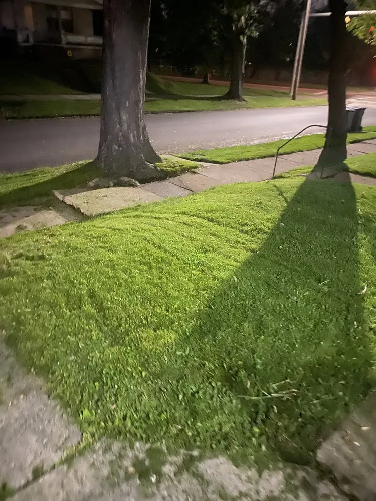 Affordable yard cleanup service in Toledo, OH - JP Lawn Care