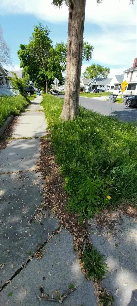 Custom outdoor landscaping for outdoor upgrades in Toledo, OH by JP Lawn Care