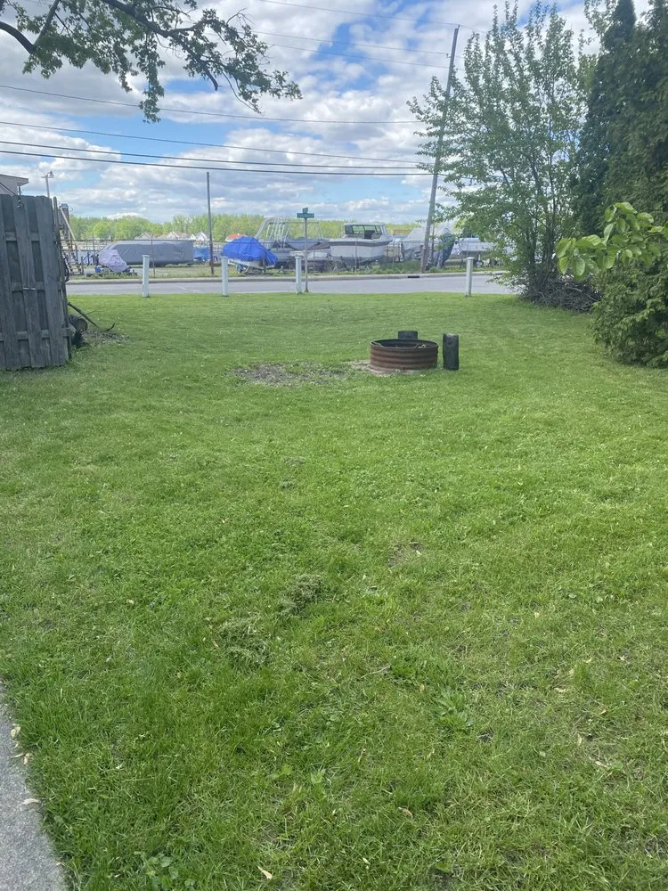 Local yard cleanup service in Toledo, OH - JP Lawn Care