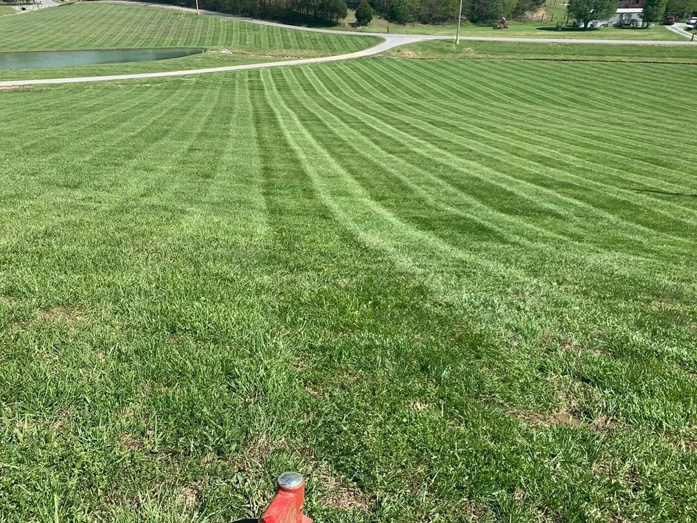 Professional landscape design for beautiful yards in Hendersonville, TN by JP Lawn Service