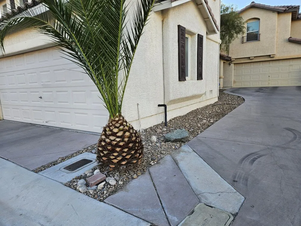 Affordable residential landscaping in Las Vegas, NV - JP Lawn Service