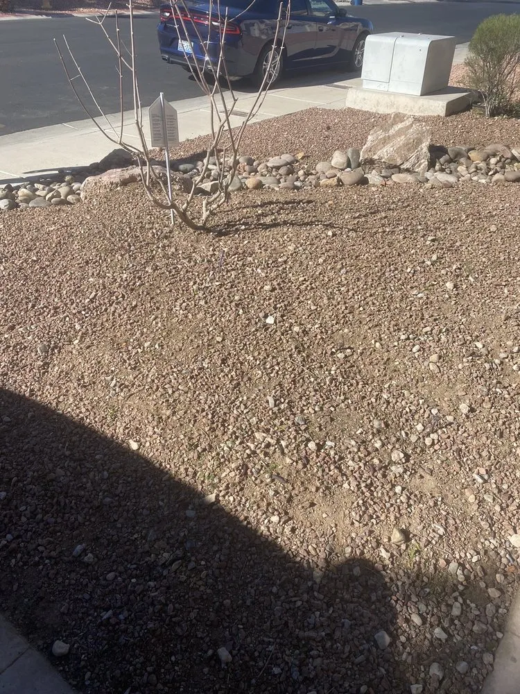 Trusted outdoor landscaping in Las Vegas, NV - JP Lawn Service