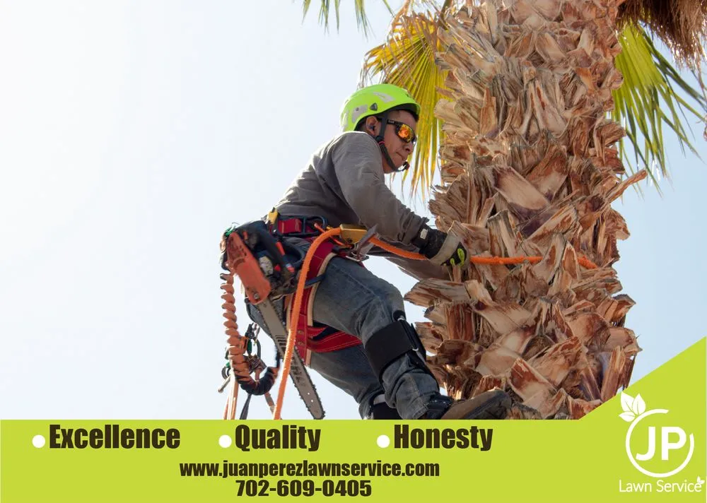 Top-rated residential landscaping for outdoor upgrades across Las Vegas, NV - JP Lawn Service