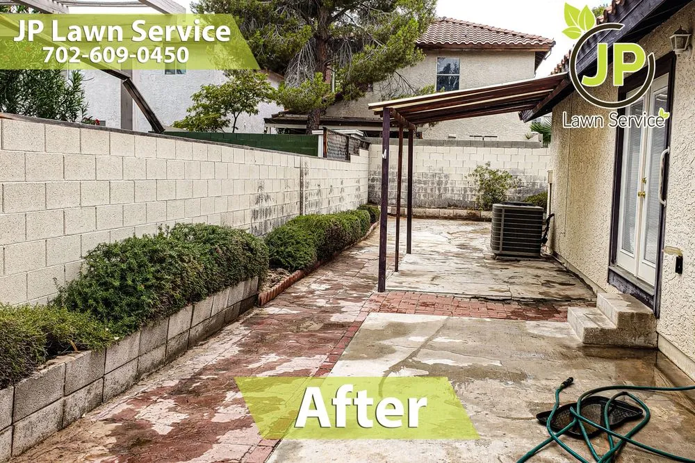 Expert yard cleanup service in Las Vegas, NV - JP Lawn Service